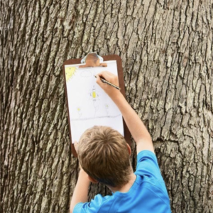 Forest treasure hunt 31/08 Jezus-Eik (3-12 years)