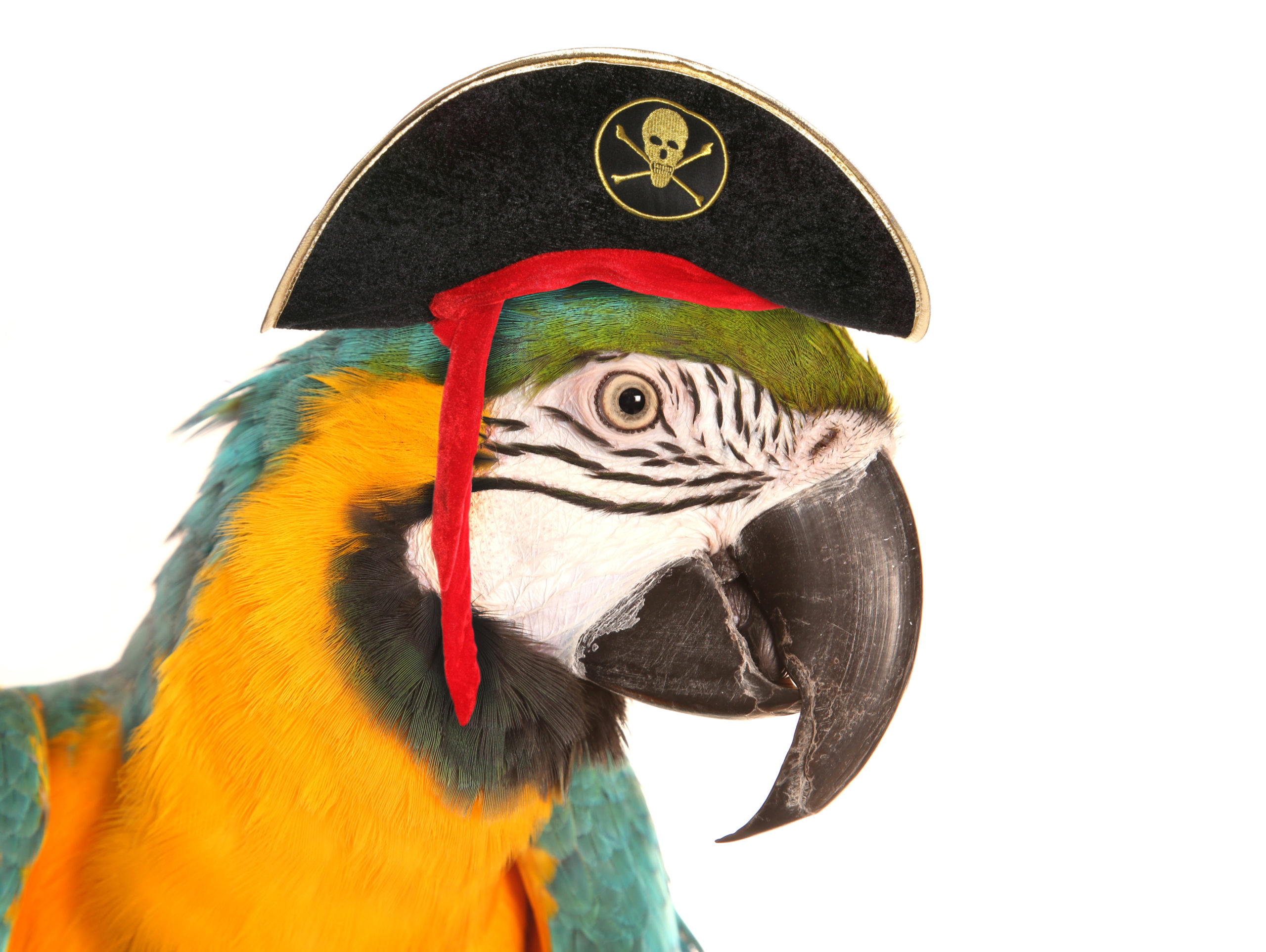 1-5 July - Pirates and the sea - Jezus-Eik