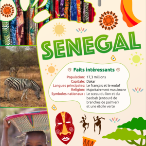 Carnet de voyage Sénégal (PDF) FR